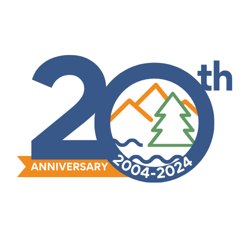 20th Anniversary Virtual Celebration - logo